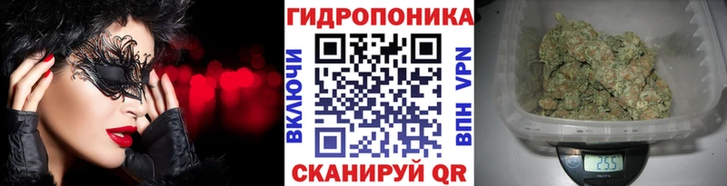 Конопля Bruce Banner  Семилуки 